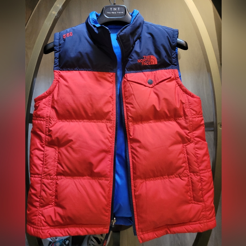The north face  vest 550
